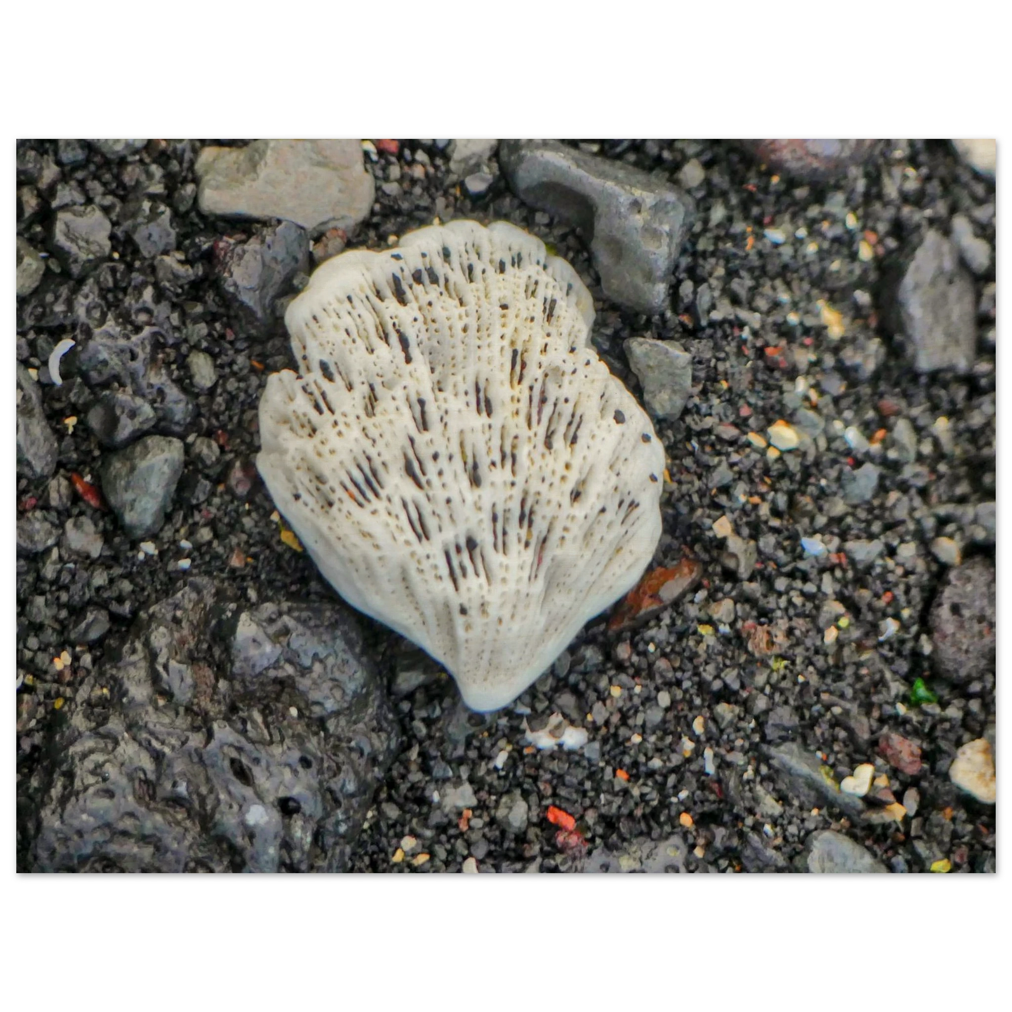 bc0286b8-4f18-4262-8182-b7fdc5cb19c1