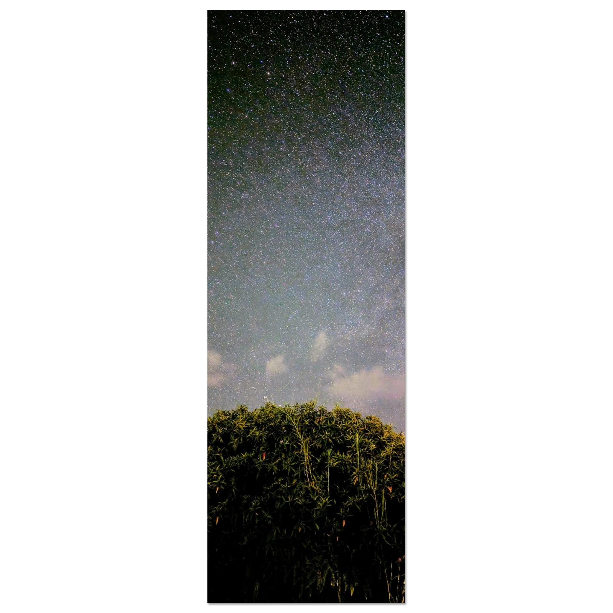 bf0f777f-f28e-4e6d-9f6e-62cc8753e168