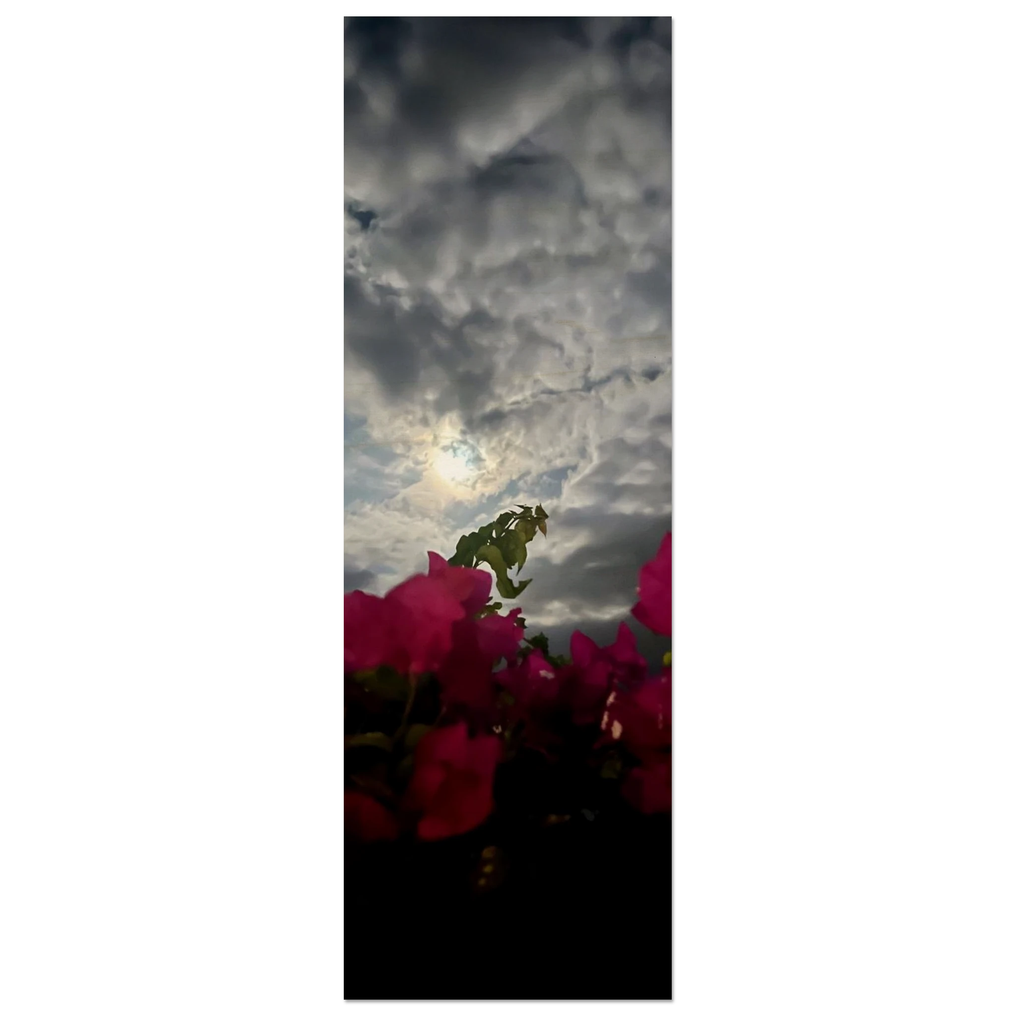 c002827c-07ff-4851-91c5-542ea1171ebb