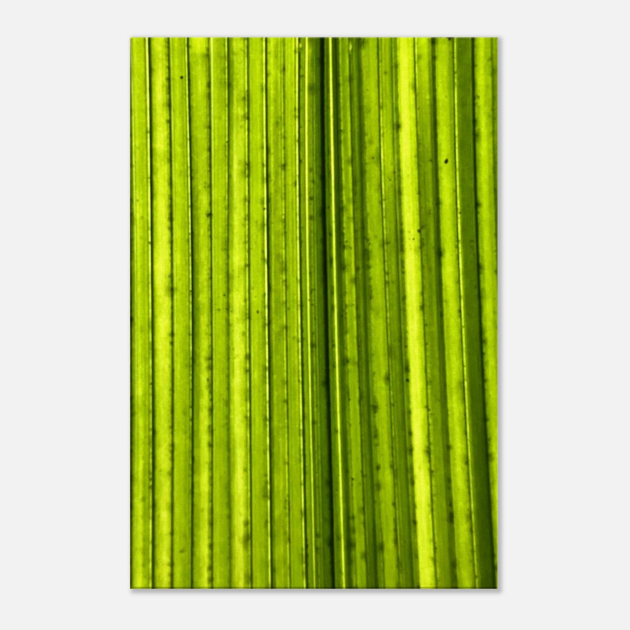 c2a05972-1b94-444d-b308-c5368eb4c86c
