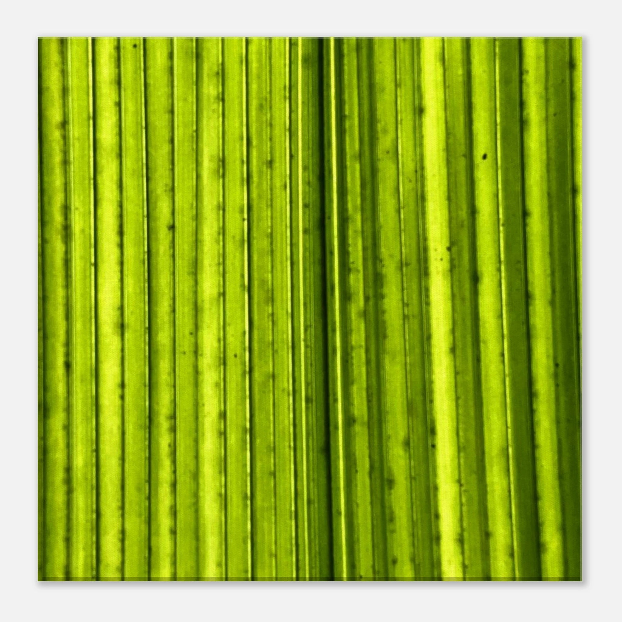 c4946836-0229-4128-810a-5df040aa8798