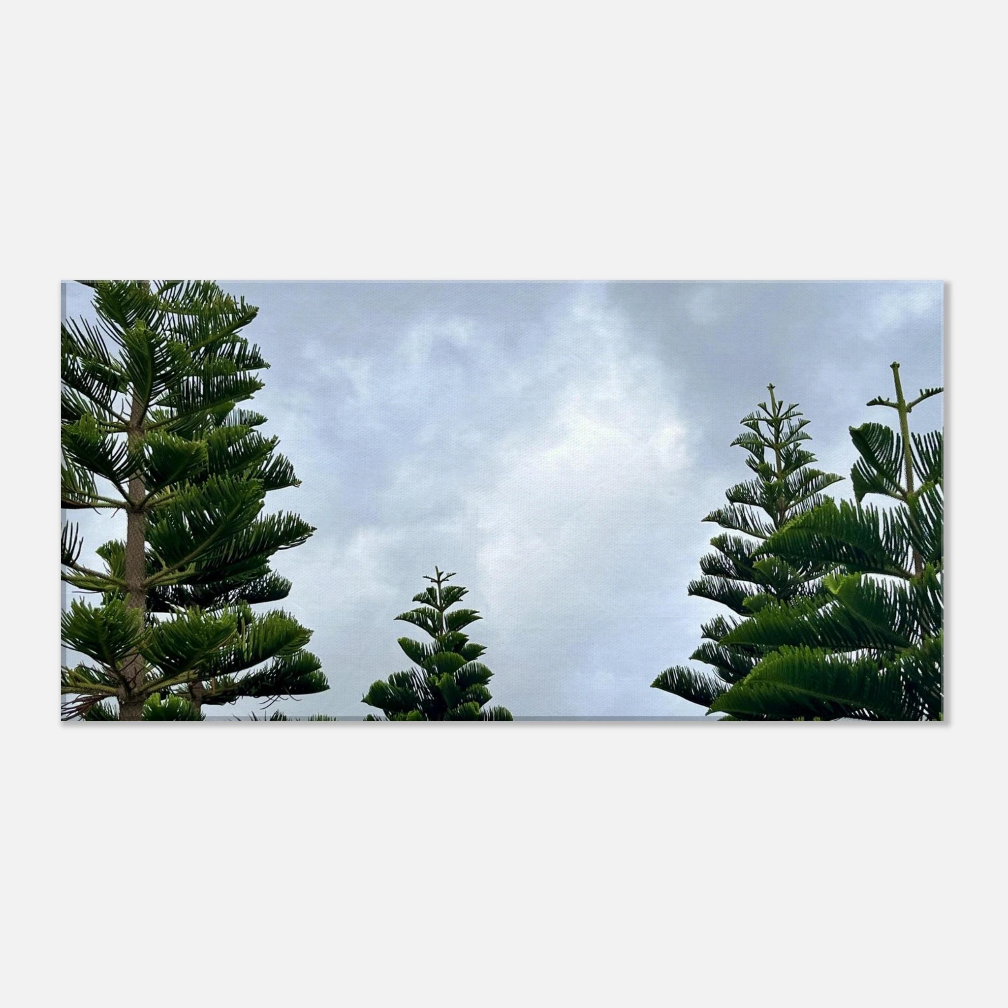 c7e38942-ecc4-47e6-812f-0f5e602d8cff
