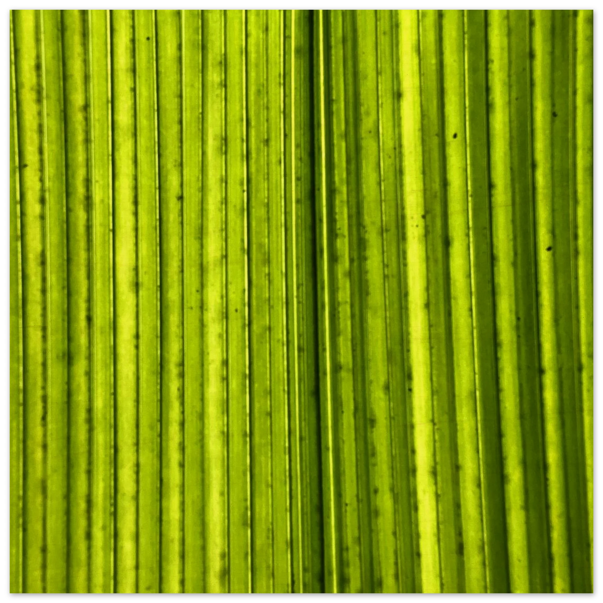 cc8f3e14-9a7c-4e26-84b4-50ebb6ee0765