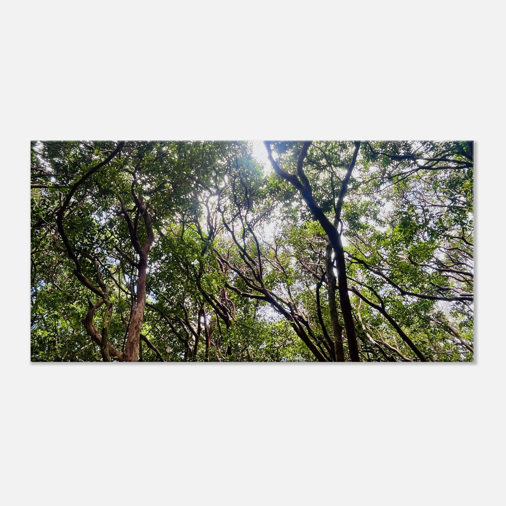 d38f85b2-fd63-4d47-87f8-fc0112d11d2b