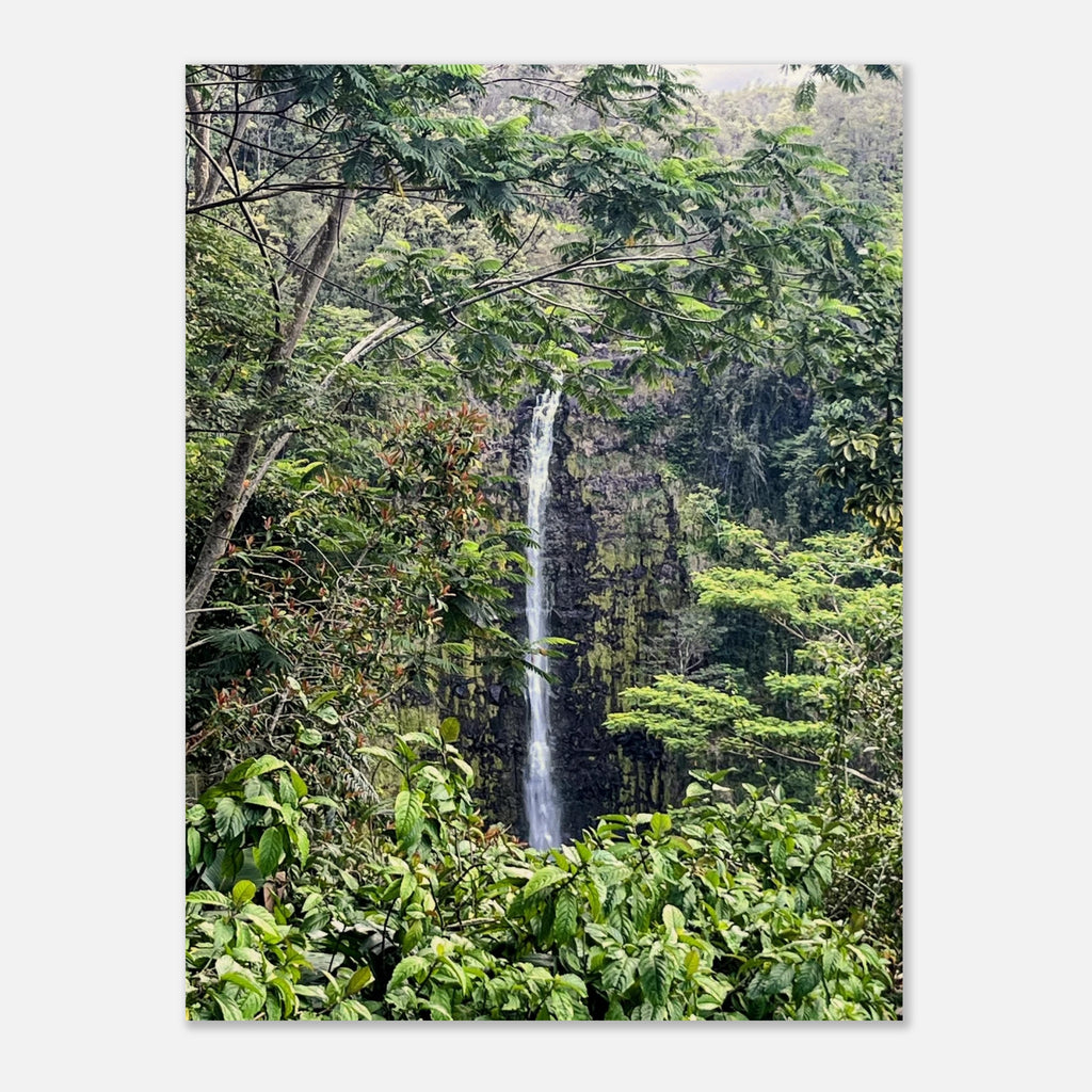 d7d34509-3e1e-4d97-ad33-f78952824b7e