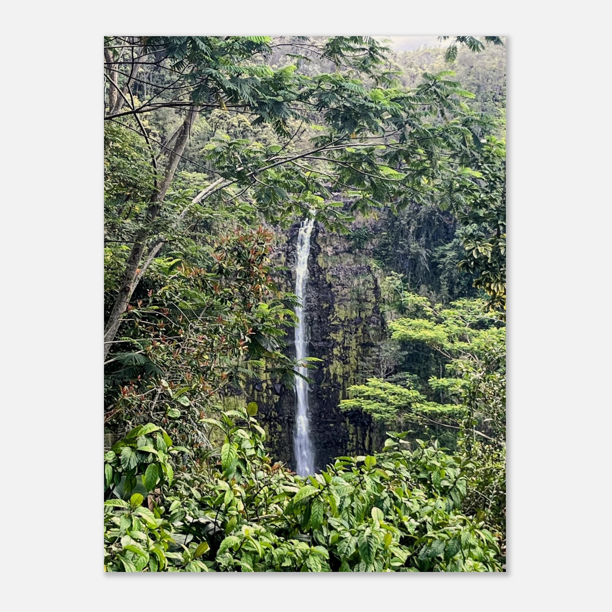 d7d34509-3e1e-4d97-ad33-f78952824b7e