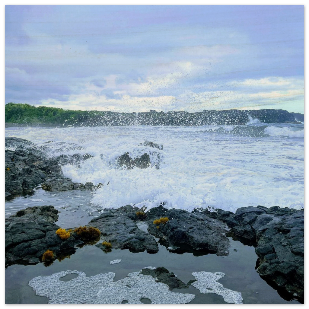d8cf0440-d96a-4099-b592-ba415e9a0deb