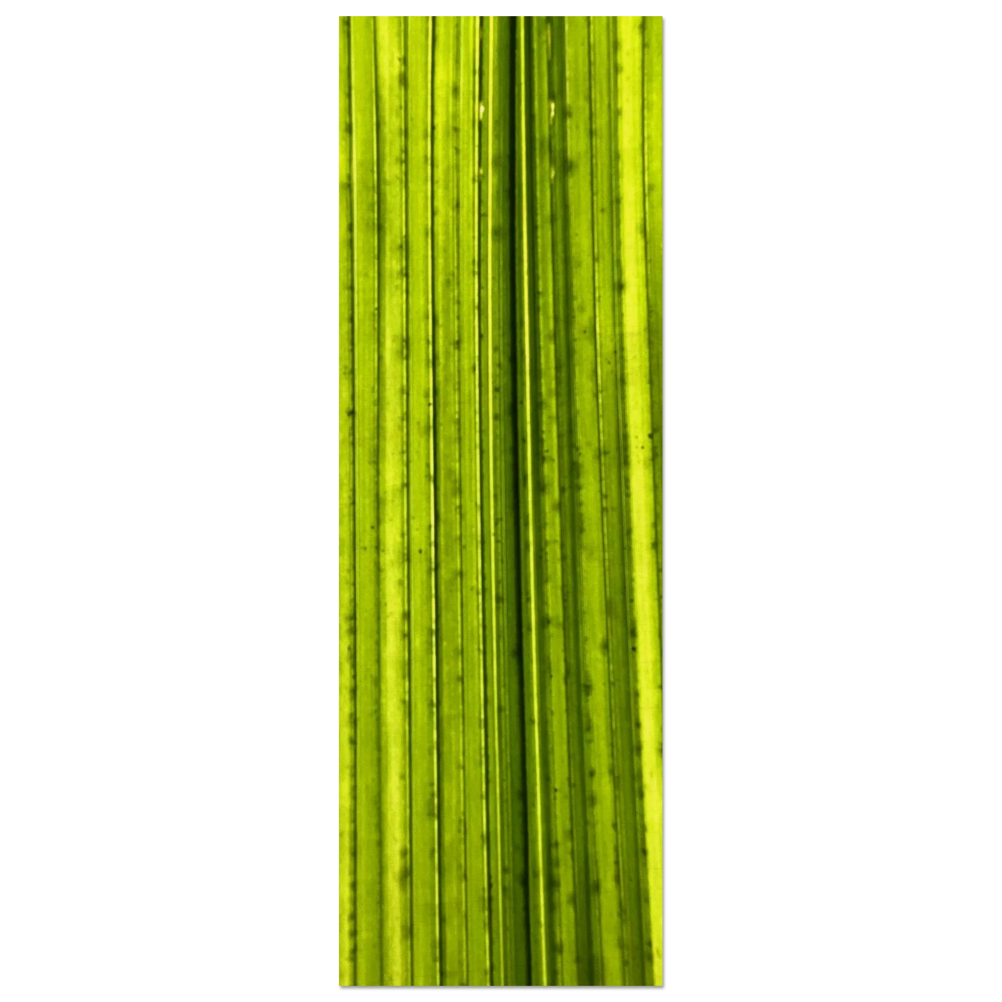 d98920c7-a907-47a0-a39a-b7de9e0f69da