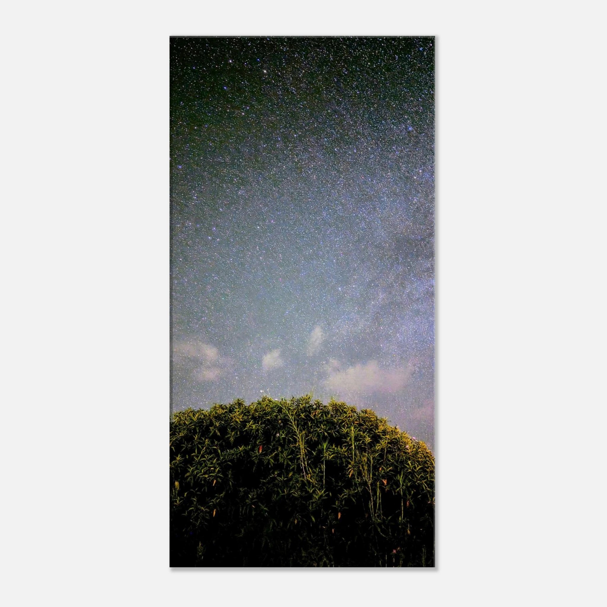 e63d0f37-6867-4084-be49-1f3fd7313393
