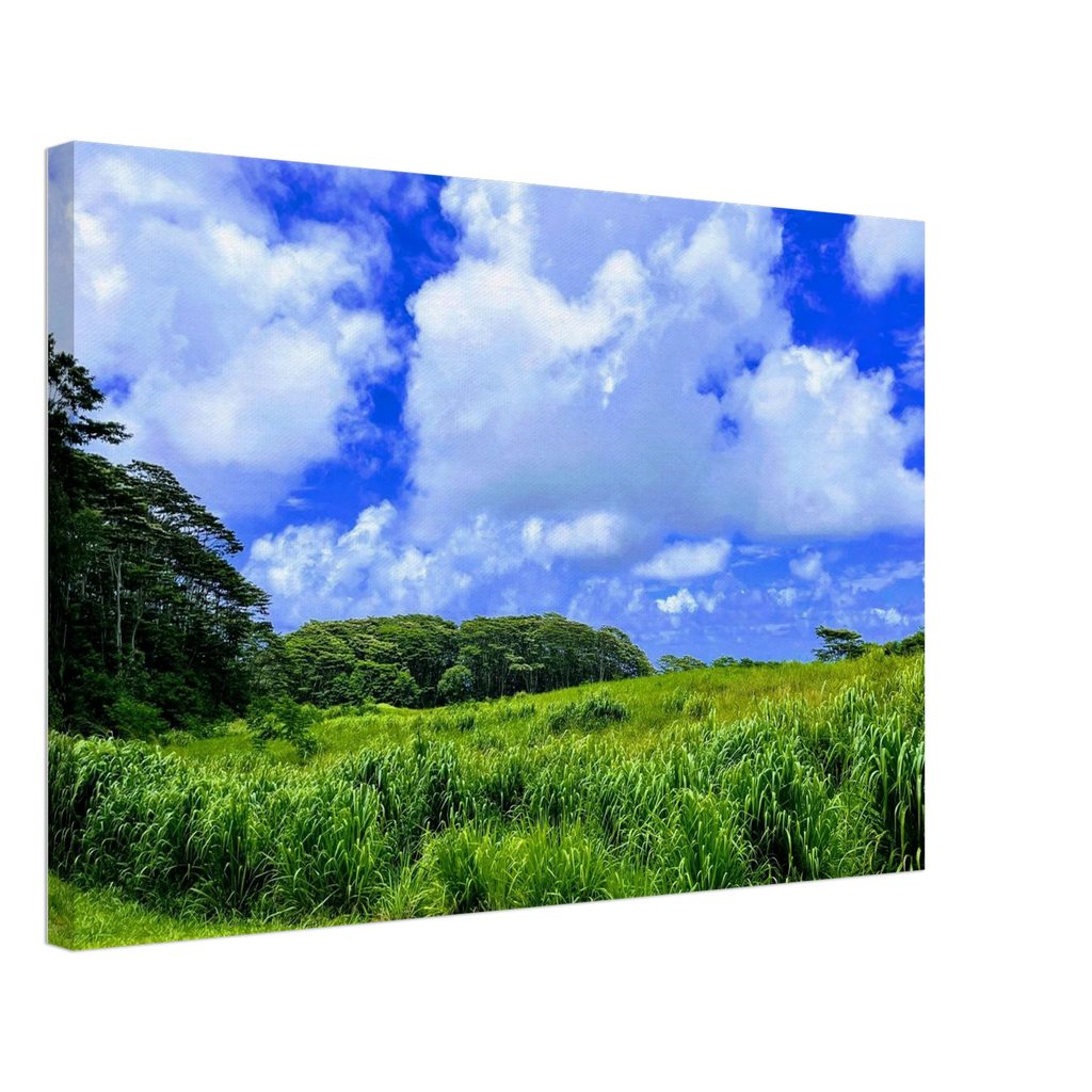 e78bf117-b5c4-46bc-bb22-cddef4b445cc