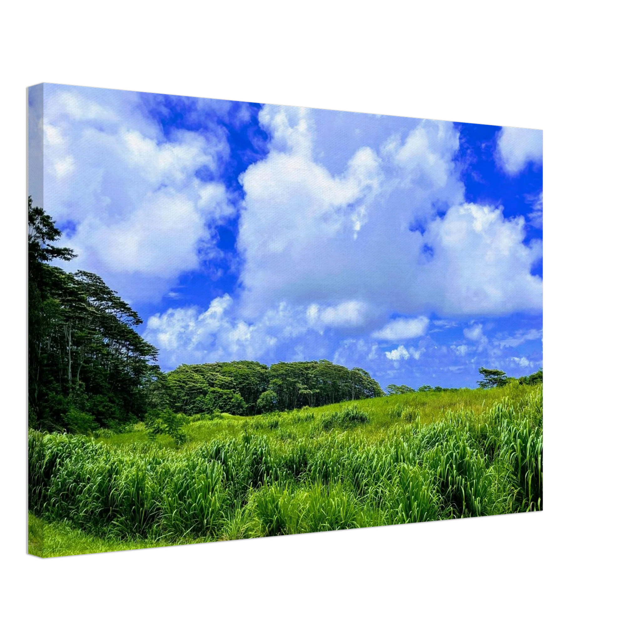 e78bf117-b5c4-46bc-bb22-cddef4b445cc