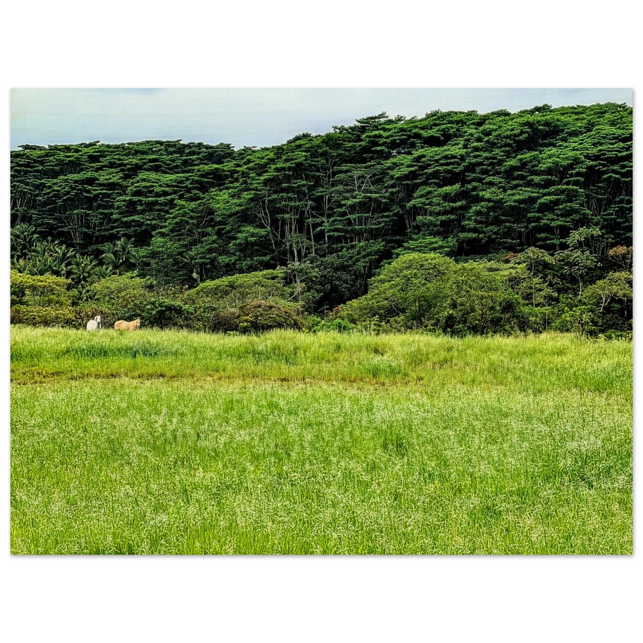 ec85d680-8356-4811-b77c-8473bbee1305