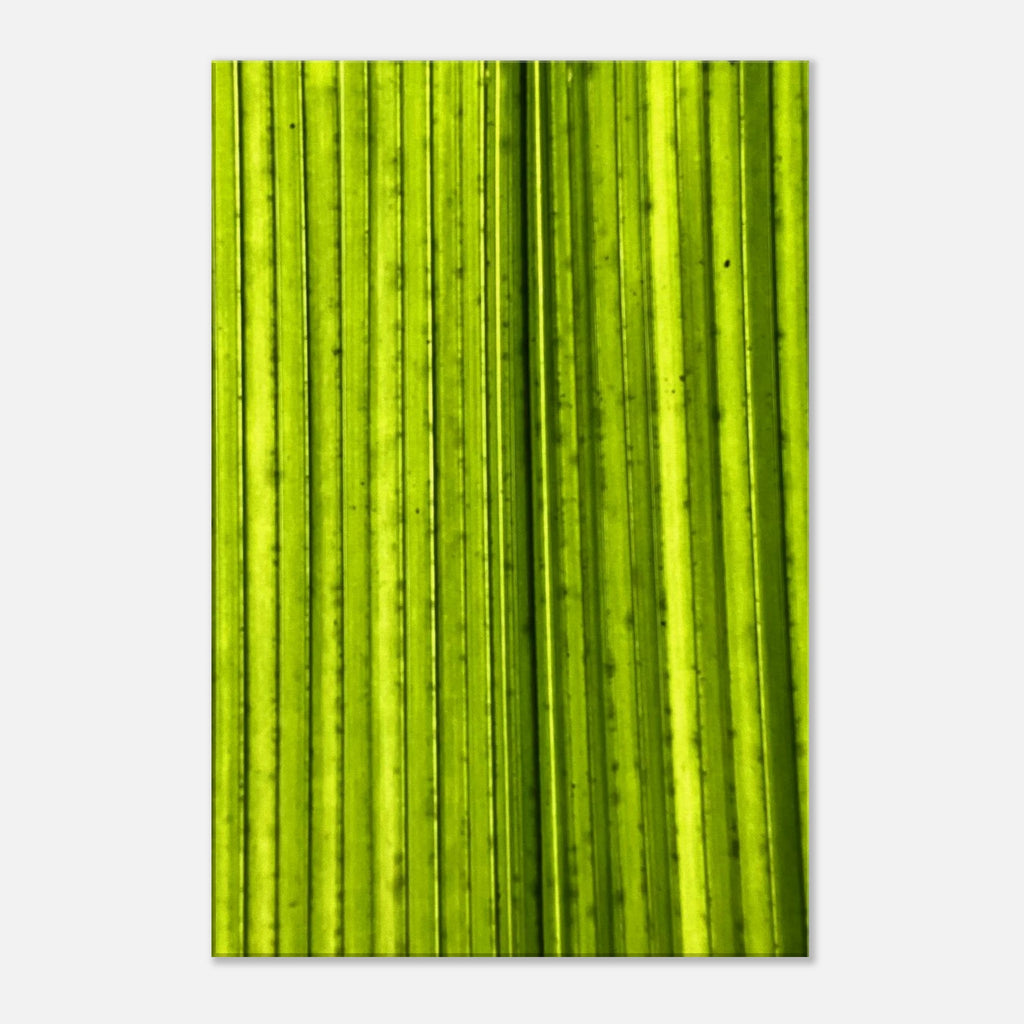 eefdb6af-2b1d-4607-aea0-21a664070e29