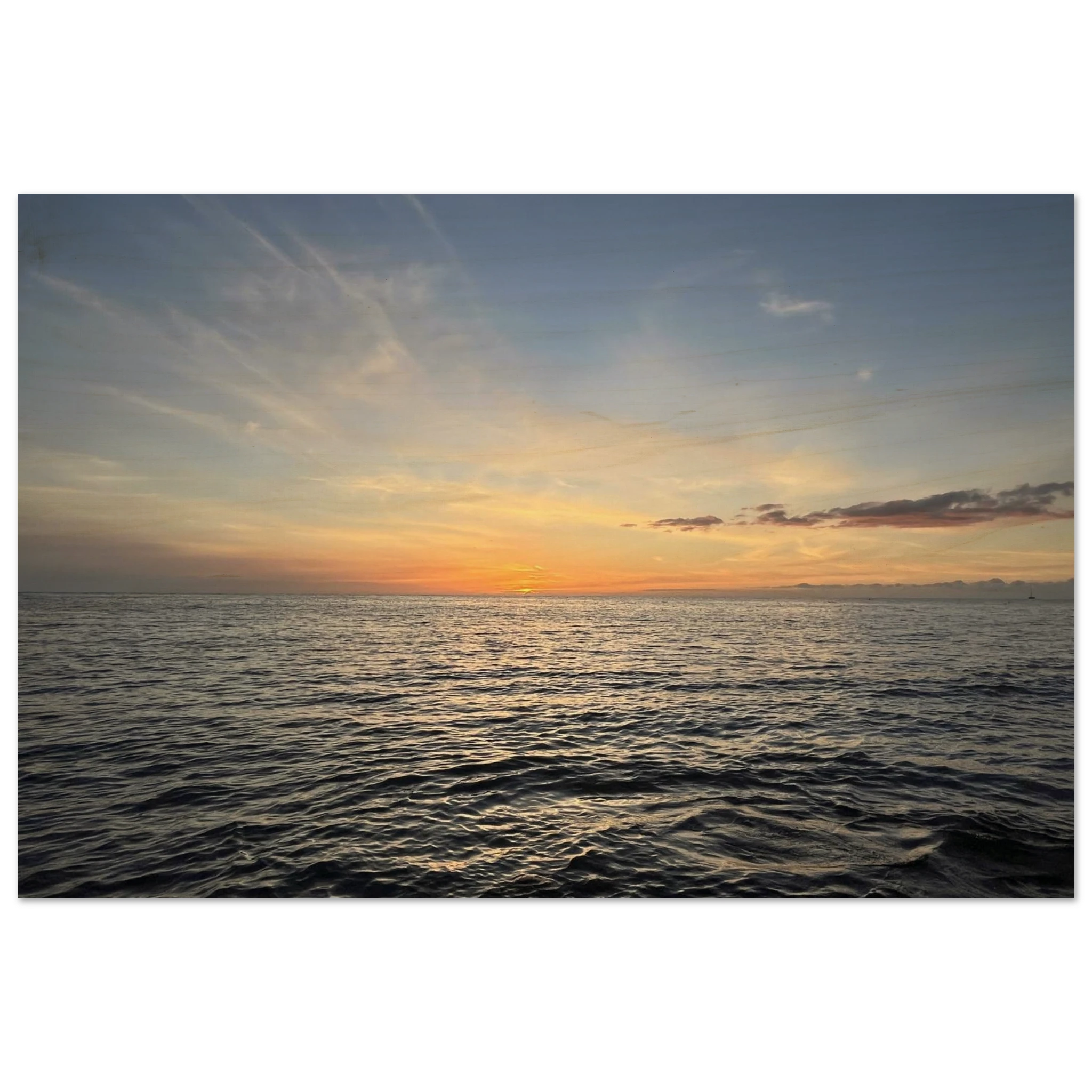 f04363fd-ea42-4935-abb0-e382c4b06661