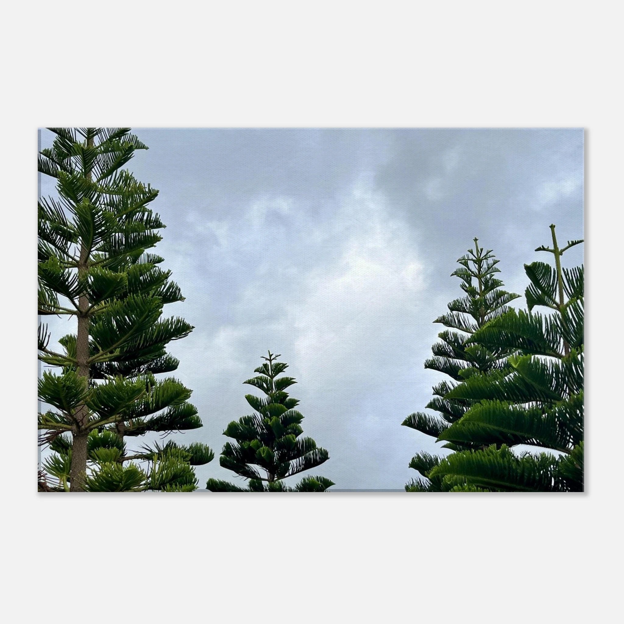 fd9d1e50-3944-4756-b1b2-be821672af13